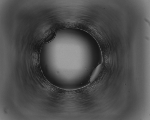 X0000093370964200710191113