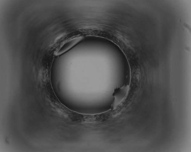 X0000093370965200710191113