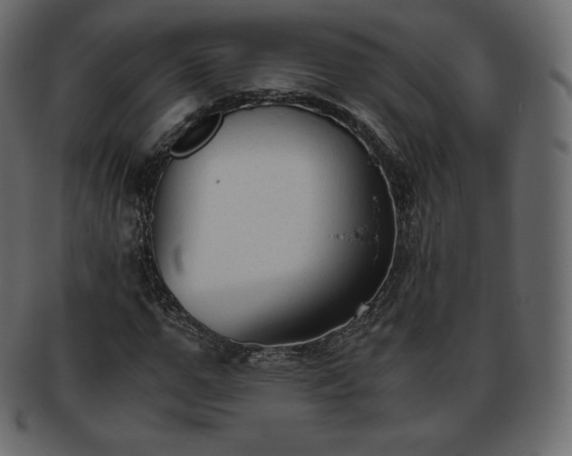 X0000093370967200710191113