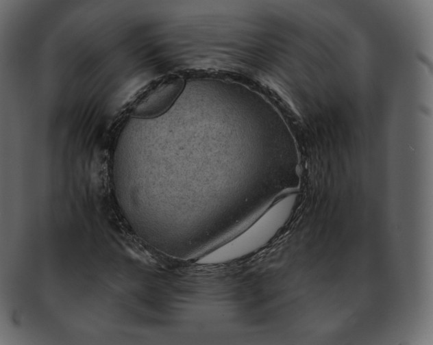 X0000093370968200710191113