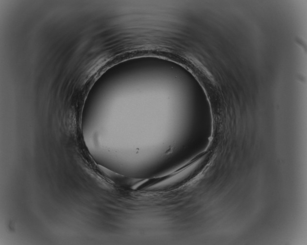 X0000093370969200710191113