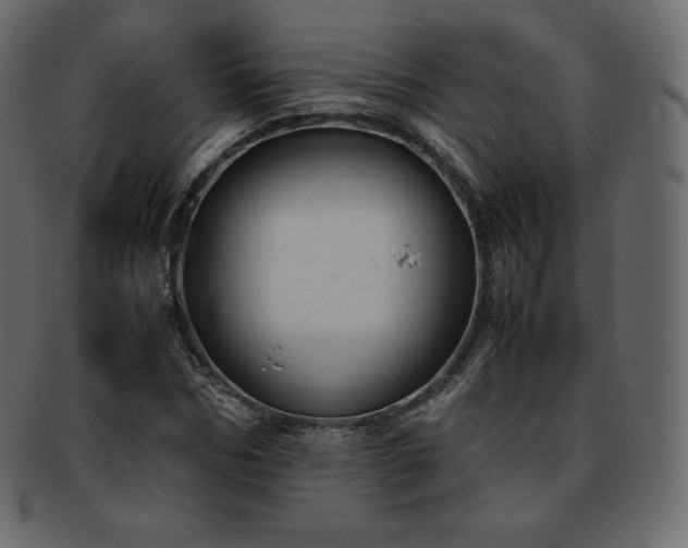 X0000093370970200710191113