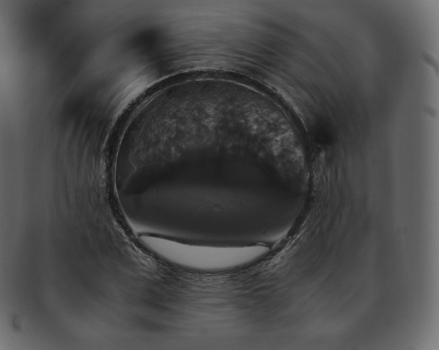 X0000093370975200710191113