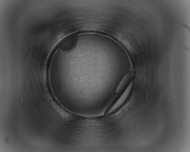 X0000093370976200710191113