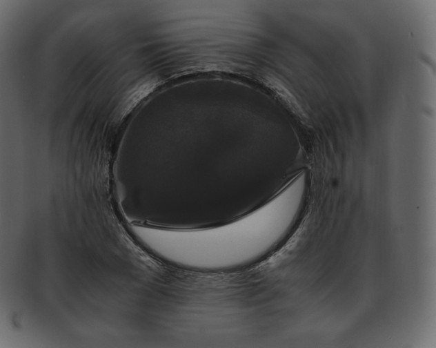 X0000093370977200710191113