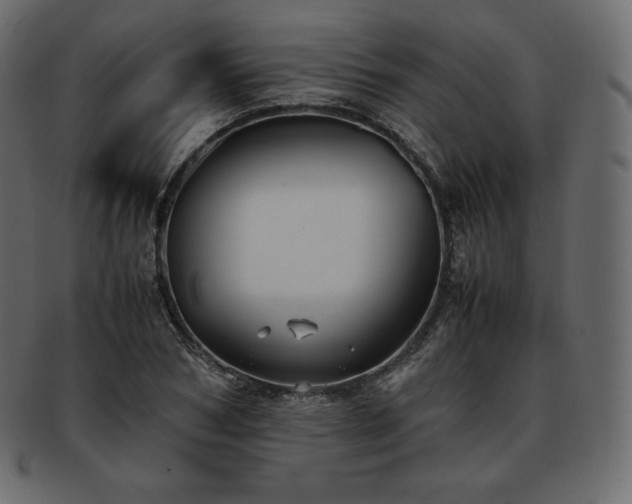 X0000093370978200710191113