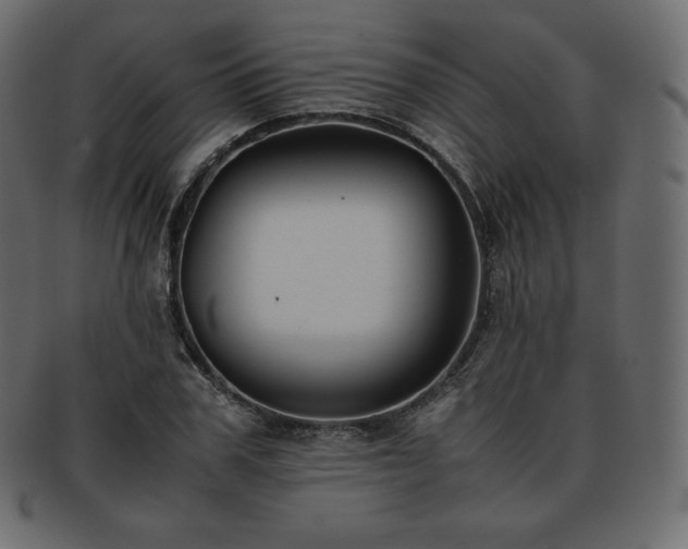 X0000093370979200710191113