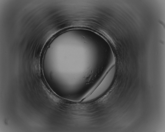 X0000093370980200710191113