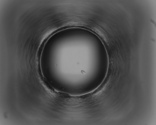 X0000093370981200710191113