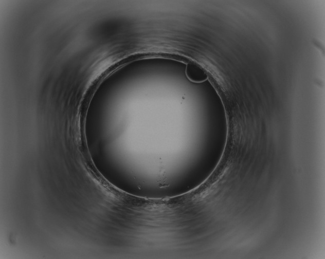 X0000093370982200710191113