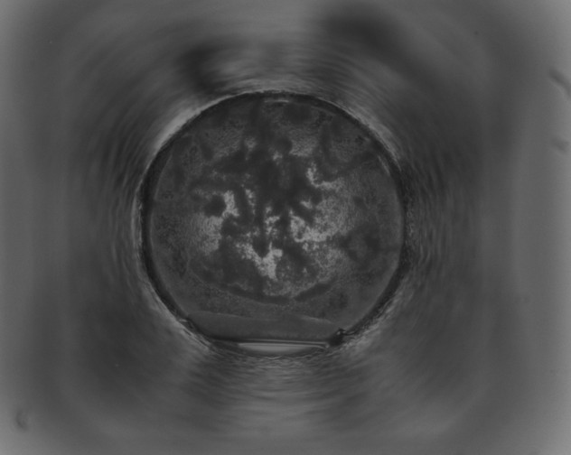 X0000093370983200710191113