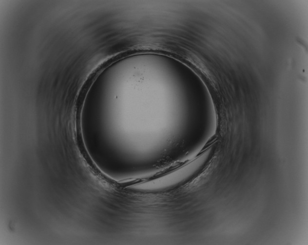 X0000093370984200710191113