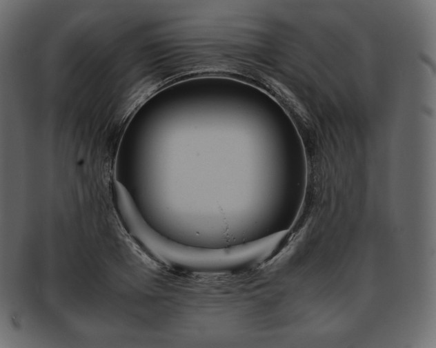 X0000093370985200710191113