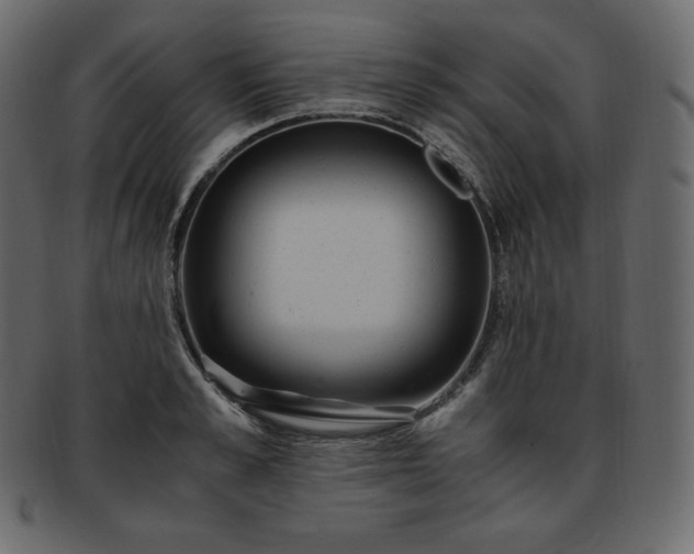 X0000093370989200710191113