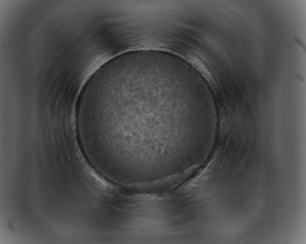 X0000093370990200710191113