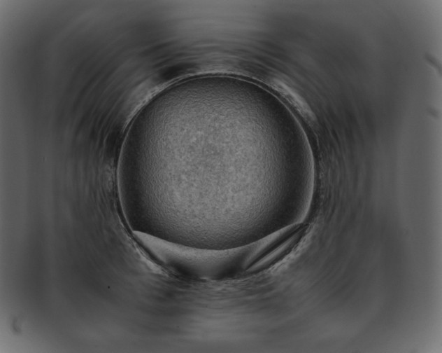 X0000093370993200710191112