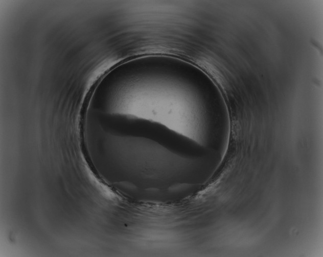 X0000093370995200710191112