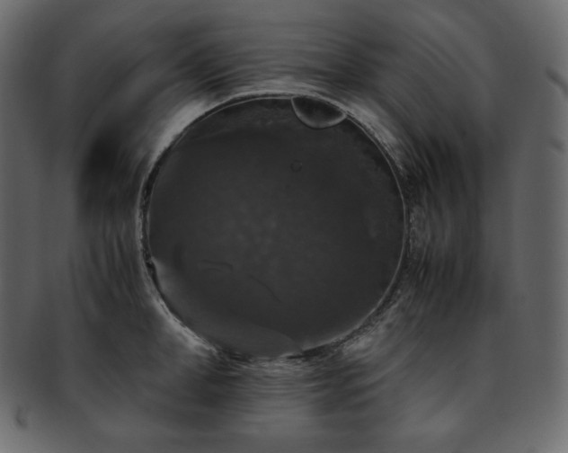 X0000093370998200710191112