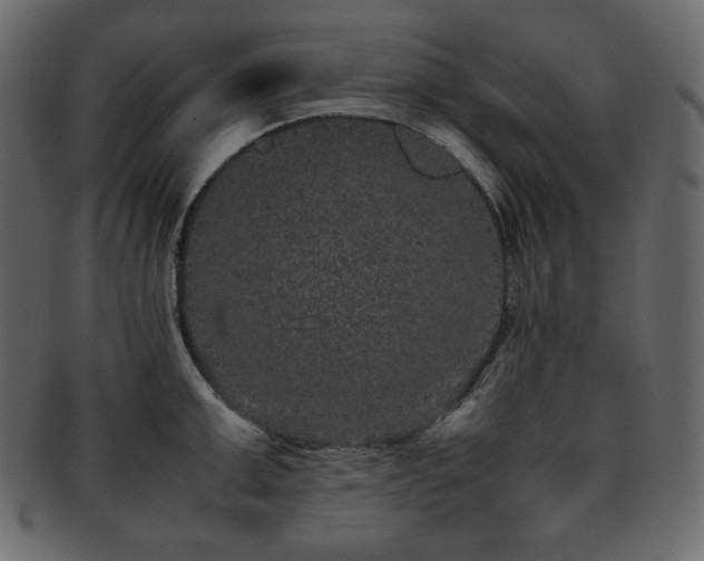 X0000093370999200710191112