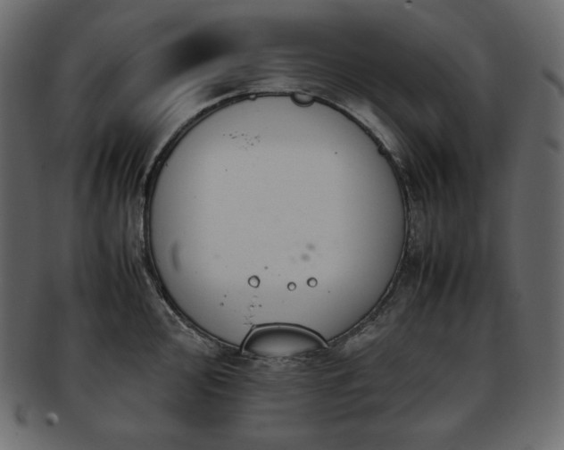 X0000093371000200710191112