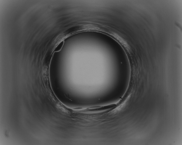 X0000093371001200710191112