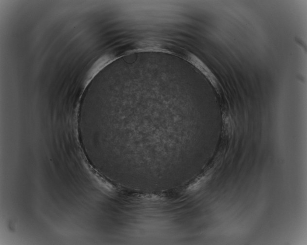 X0000093371002200710191112