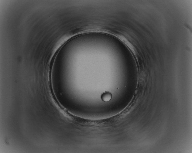 X0000093371005200710191112