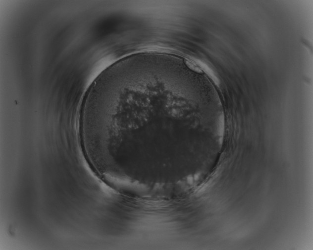 X0000093371007200710191112