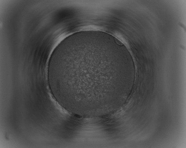 X0000093371008200710191112