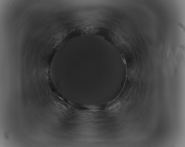 X0000093371010200710191112