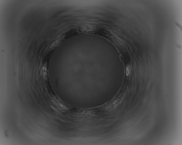 X0000093371011200710191112