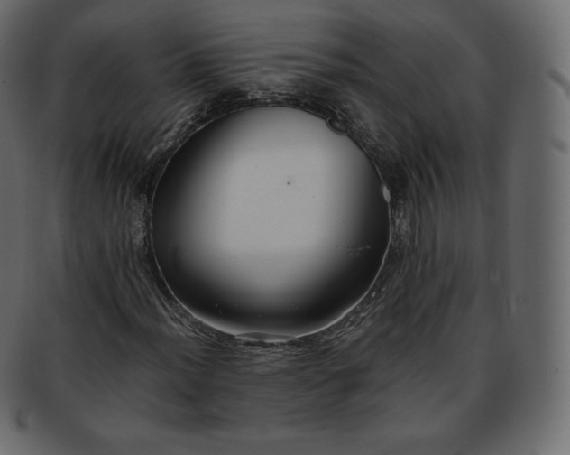 X0000093371012200710191112