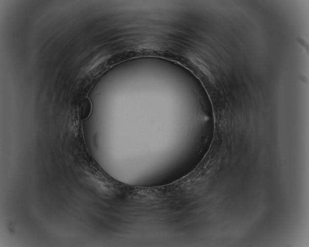 X0000093371015200710191112