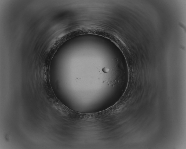 X0000093371016200710191112