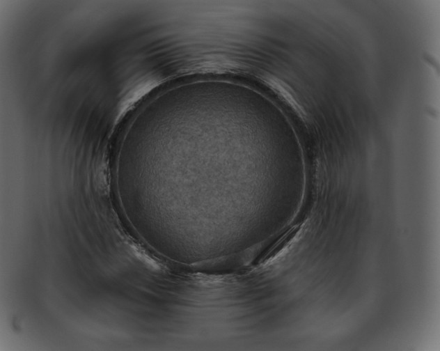 X0000093371018200710191112