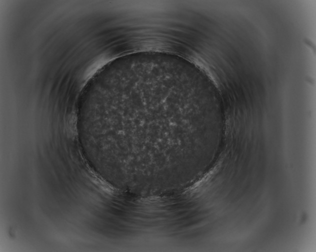 X0000093371019200710191112