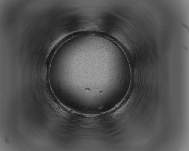 X0000093371021200710191112