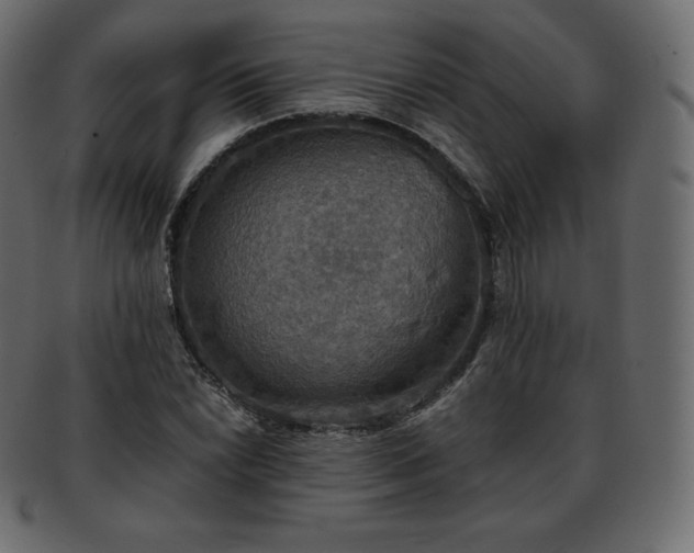 X0000093371022200710191112