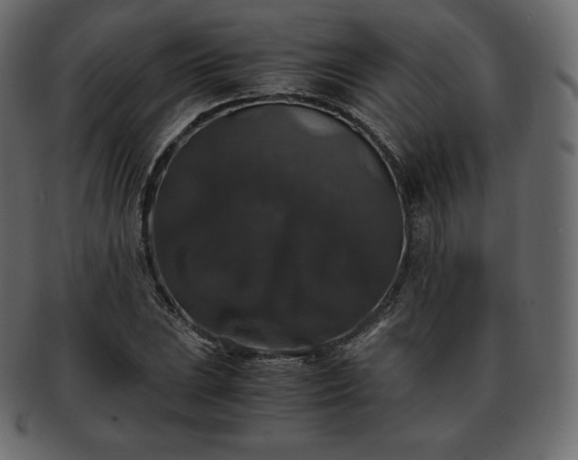 X0000093371023200710191112