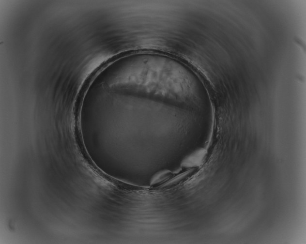 X0000093371024200710191112