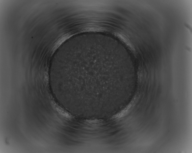 X0000093371025200710191112