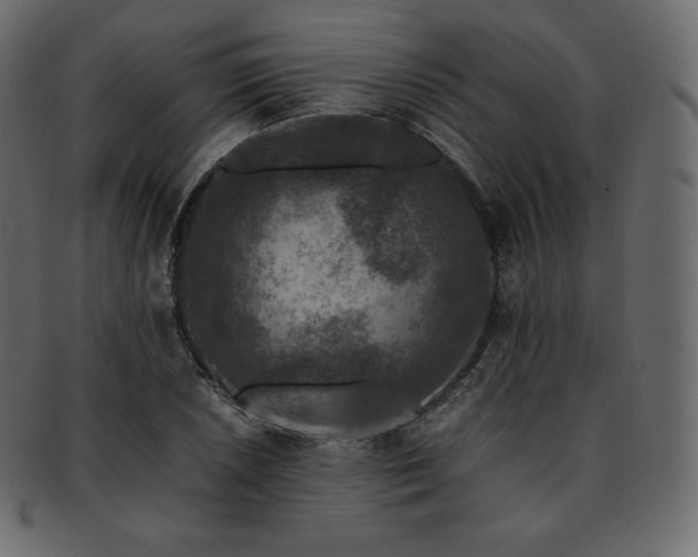 X0000093371026200710191112