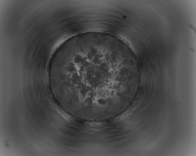 X0000093371027200710191112
