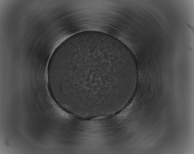 X0000093371028200710191112