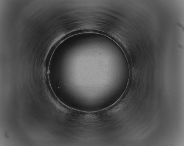 X0000093371029200710191112