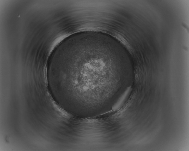 X0000093371030200710191112