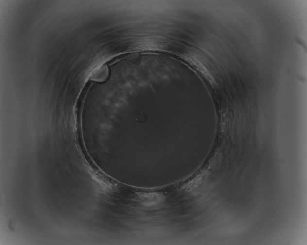 X0000093371031200710191112