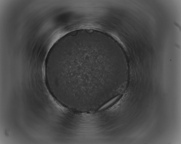 X0000093371032200710191112