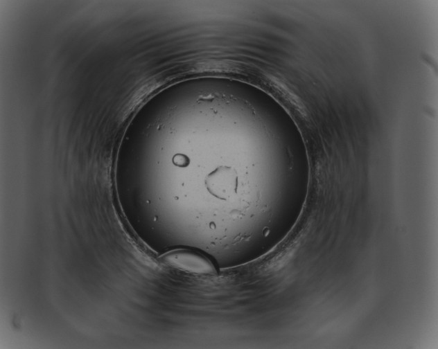 X0000093371033200710191112