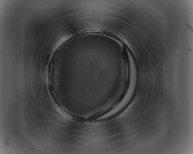 X0000093371034200710191112